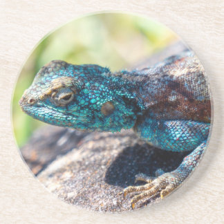 En Grès Dessous de verre Lizard multicolore
