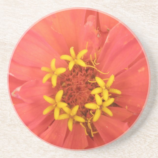 En Grès Dessous de verre Macro Red Zinnia (Devant)