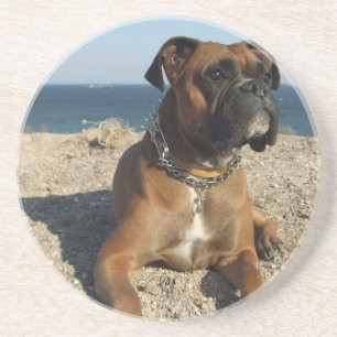 En Grès Dessous de verre mignons de chien de boxeur