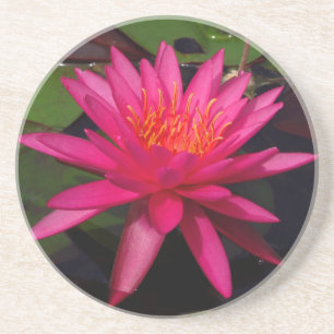 En Grès Dessous de verre - nénuphar rose