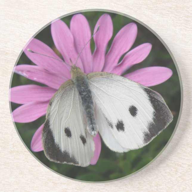 En Grès Dessous de verre papillon et rose (Devant)