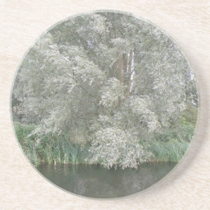 En Grès Dessous de verre paysagers de l'arbre blanc et de