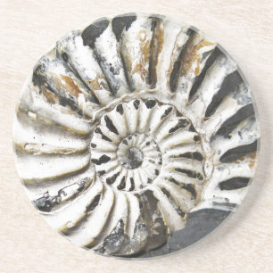 En Grès Dessous de verre Petritical Nautical Fossil Beach
