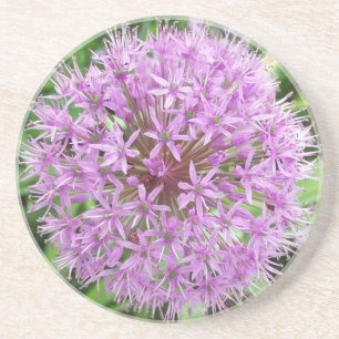 En Grès Dessous de verre pourpres d'allium