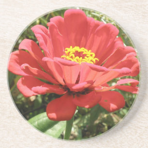 En Grès Dessous de verre Red Zinnia