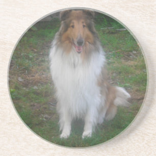 En Grès Dessous de verre Rough Sable Collie