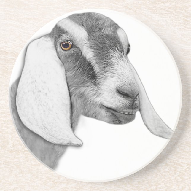 En Grès Dessous de verre Sandstone de chèvre nubienne (Devant)