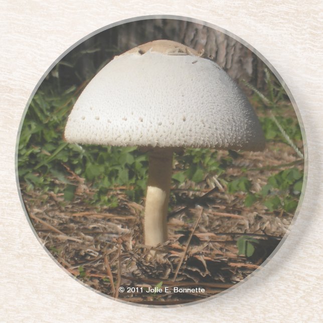 En Grès Dessous de verre Shroom 0659 (Devant)