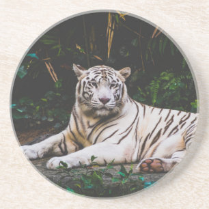 En Grès Dessous de verre tigre