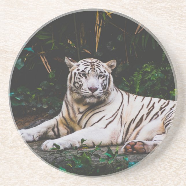 En Grès Dessous de verre tigre (Devant)