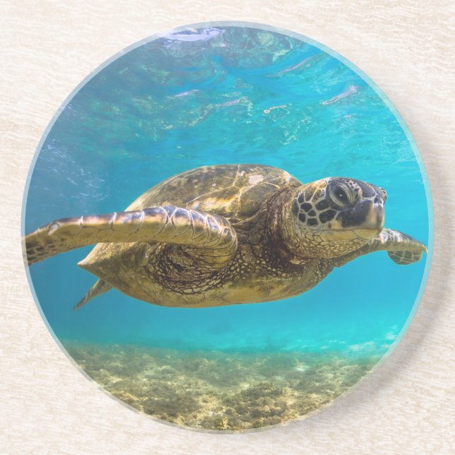 En Grès Dessous de verre tortue (Devant)