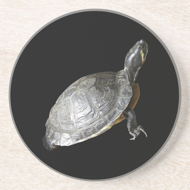 En Grès Dessous de verre tortue (Devant)
