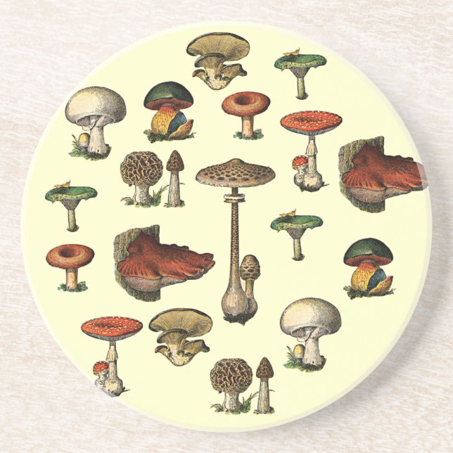 En Grès Dessous de verre vintages de guide de champignon (Devant)
