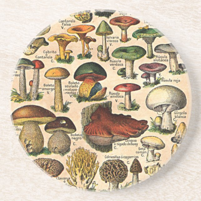 En Grès Dessous de verre vintages de guide de champignon (Devant)