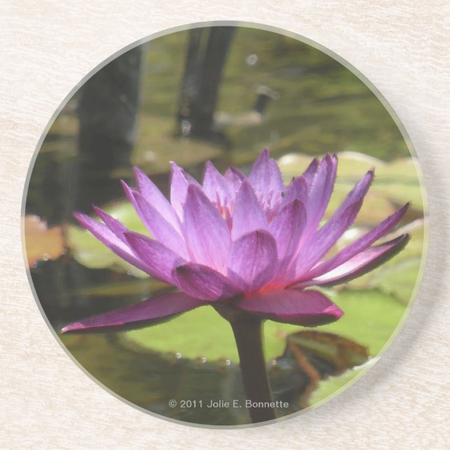 En Grès Dessous de verre Water Lily (Devant)