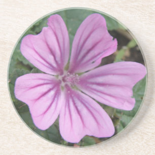 En Grès Joli Dessous de verre Fleurs sauvages violets