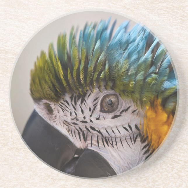 En Grès Macaw Parrot - Dessous de verre (Devant)