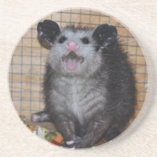 En Grès Opossum sur des dessous de verre