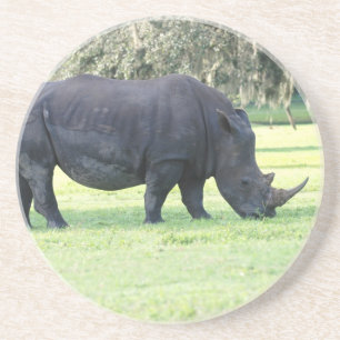En Grès Pâturage des dessous de verre de rhinocéros