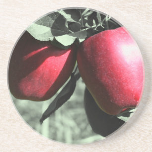 En Grès Pommes Rouges Sur Le Dessous de verre Naturel Arbr