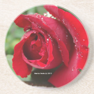 En Grès Roseraie rouge - Dessous de verre