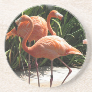 En Grès Troupeau des dessous de verre de Flamants roses