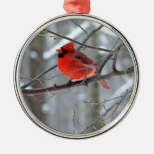 En Métal Ornement cardinal haut de gamme