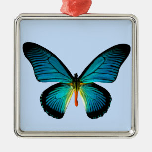 En Métal Ornement Carré papillon bleu