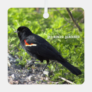 En Métal Ornement de Blackbird à ailes rouges