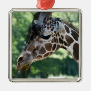 En Métal Ornement de girafe
