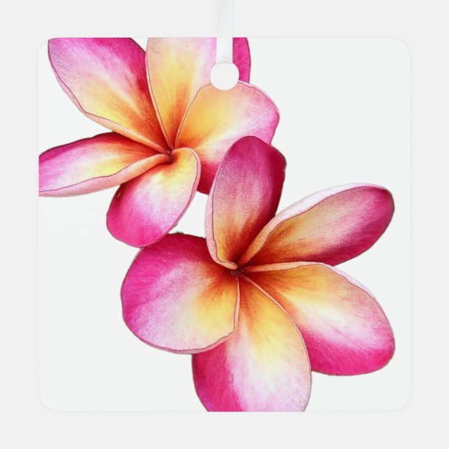 En Métal Ornement Plumeria rose (Recto)