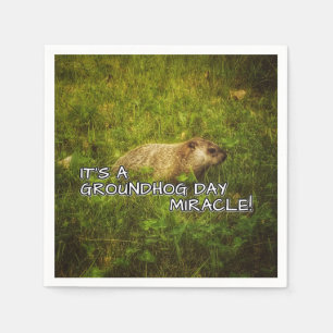 En Papier C'est un jour de marmotte des serviettes miracles