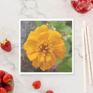 En Papier Serviette de dîner de jardin stupéfiante avec Zinn