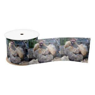 En Satin Poulet moche, Ruban satiné
