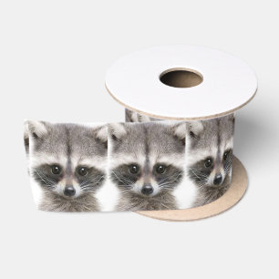 En Satin Ruban de la Figure Raccoon