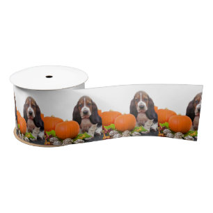 En Satin Ruban satiné de 3 pouces Halloween Basset