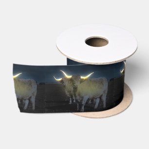 En Satin Vaches Highland Qui Jaillissent Dans Le Ruban Somb