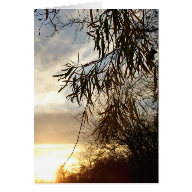 En Tant Que Soleil (Devant)