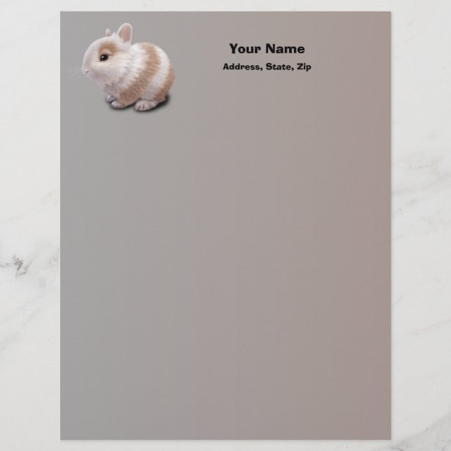 En-tête De Lettre Avec Motif Bébé Lapin (Devant)