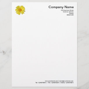 En-tête De Lettre Avec Motif La marguerite dans la pluie