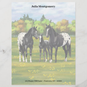 En-tête De Lettre Chevaux Appaloosa Noir Dans Les Pâturages D'Été