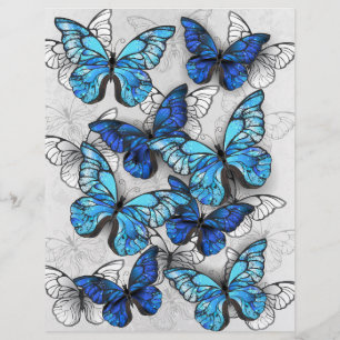 En-tête De Lettre Composition des White and Blue Butterflies