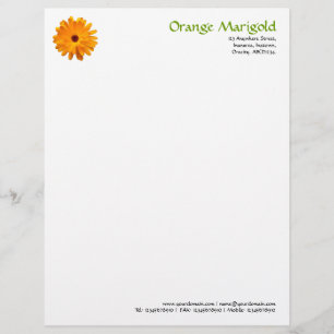 En-tête De Lettre Customisable Orange Marigold