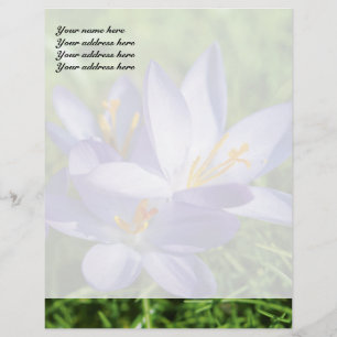 En-tête De Lettre Customisée Crocus
