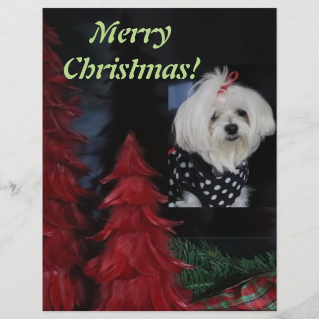 En-tête De Lettre Customisée Noël maltais (Devant)