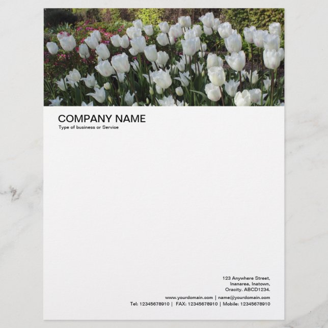 En-tête De Lettre En-tête grande image - Lit de tulipes blanches (Devant)