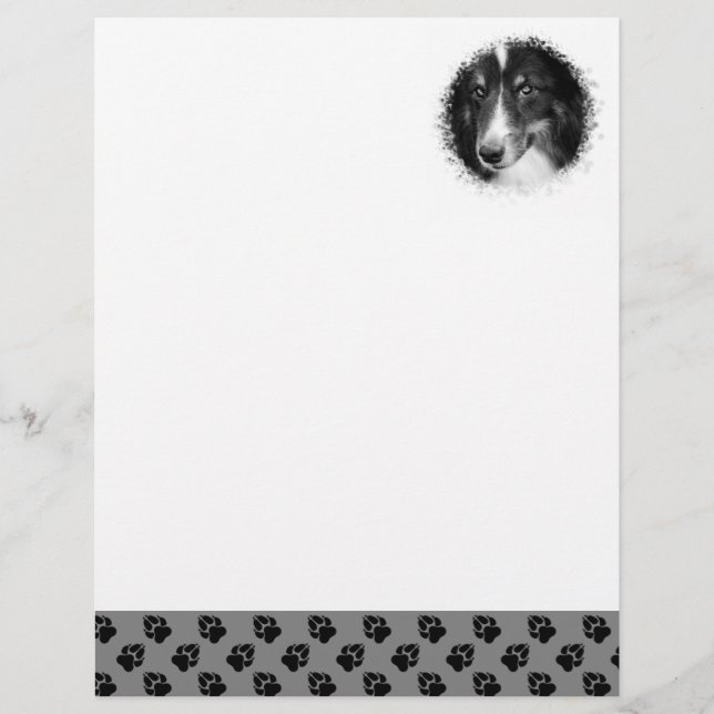 En-tête De Lettre Modèle photo Personnalisé Pour Animaux De Compagni (Devant)