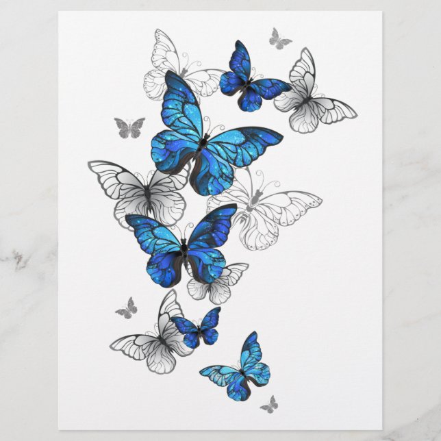 En-tête De Lettre Papillons volants bleus Morpho (Devant)