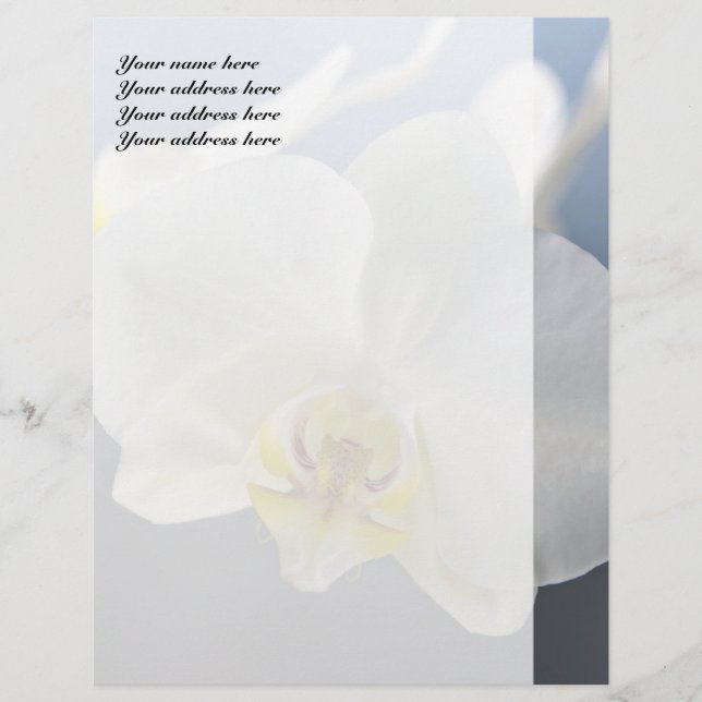 En-tête De Lettre Personnalisée Fleur d'orchidée blanche (Devant)