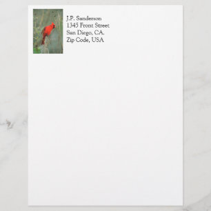 En-tête De Lettre Personnalisée Photo cardinale d'oiseau